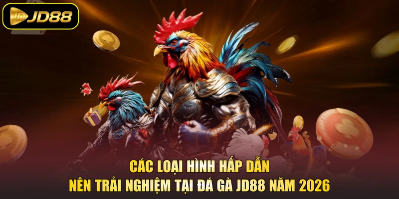 Các loại hình hấp dẫn nên trải nghiệm tại đá gà JD88 năm 2026