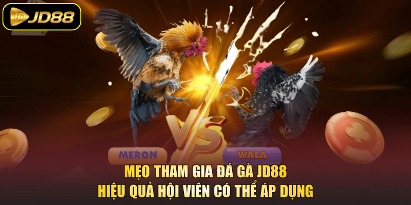 Mẹo tham gia đá gà JD88 hiệu quả hội viên có thể áp dụng